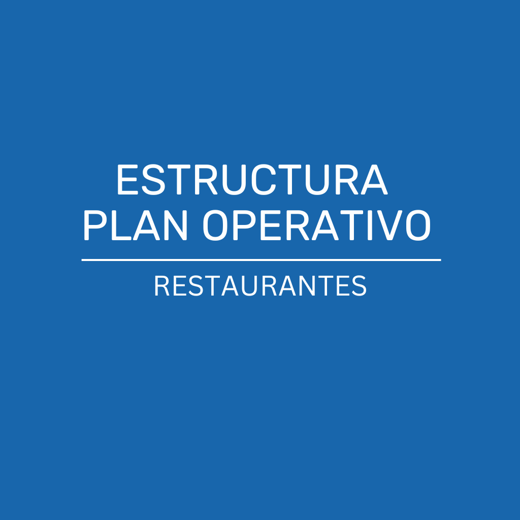 Estructura Plan Operativo_1
